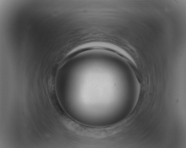 X0000083000029200702081912