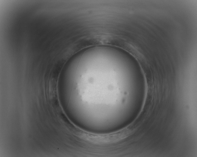 X0000083000030200702081912