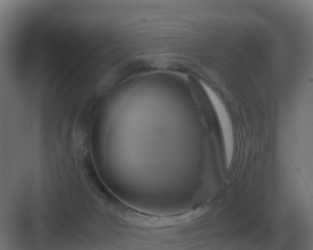 X0000083000031200702081912