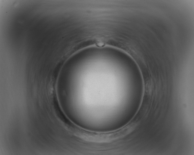 X0000083000032200702081912