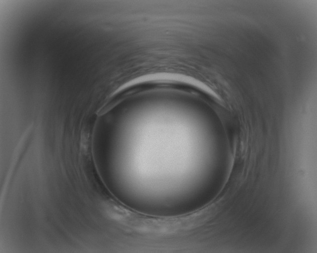 X0000083000033200702081912