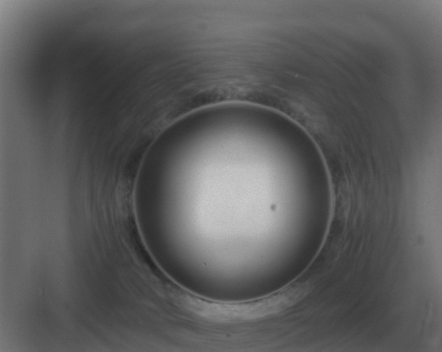 X0000083000034200702081912