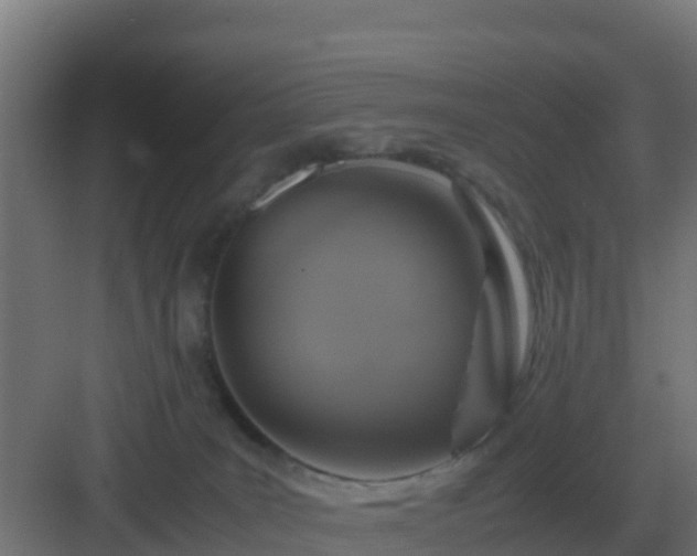 X0000083000035200702081912