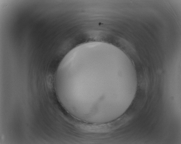 X0000083000036200702081912