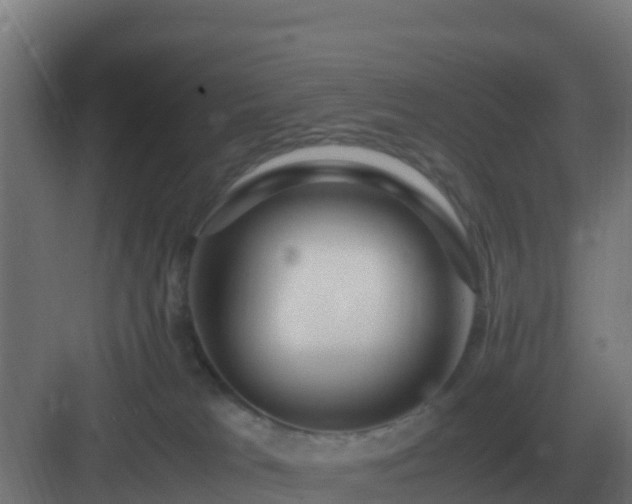 X0000083000037200702081912