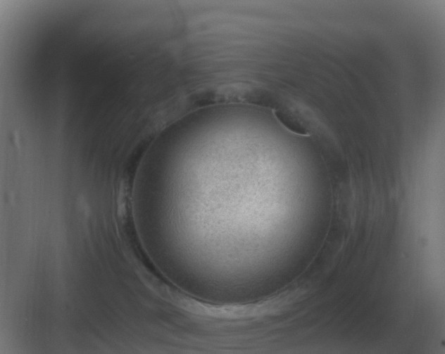 X0000083000038200702081912