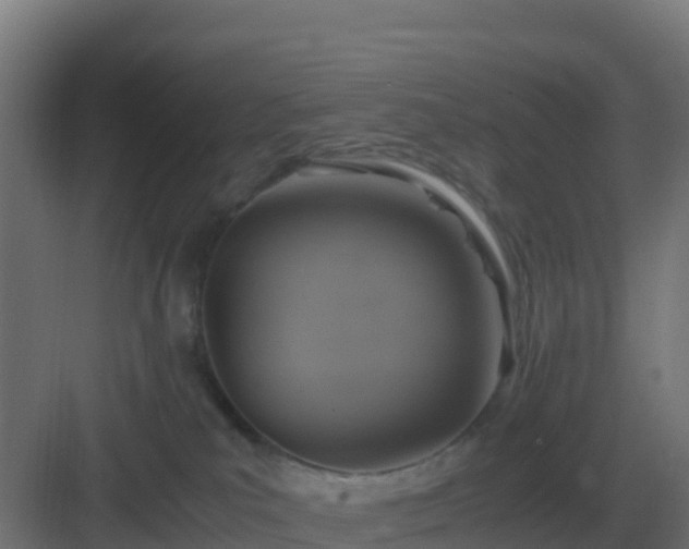 X0000083000039200702081912