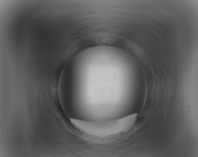 X0000083000040200702081912