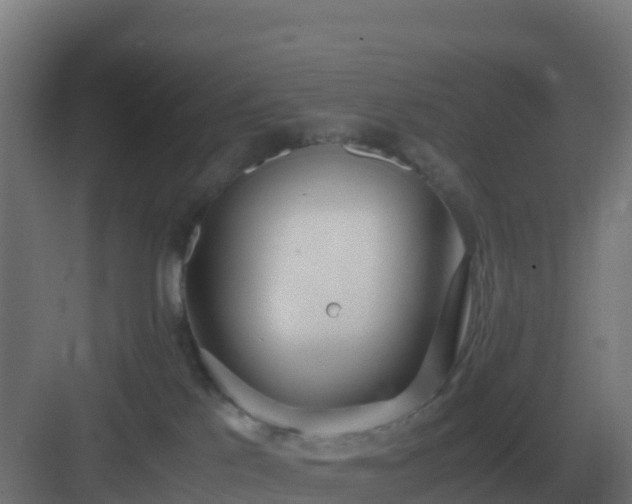 X0000083000041200702081912