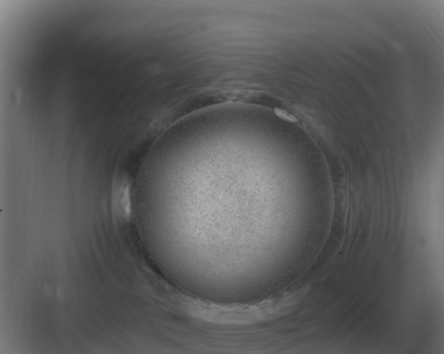 X0000083000042200702081912