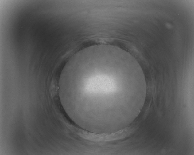 X0000083000043200702081912