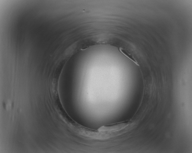 X0000083000044200702081912