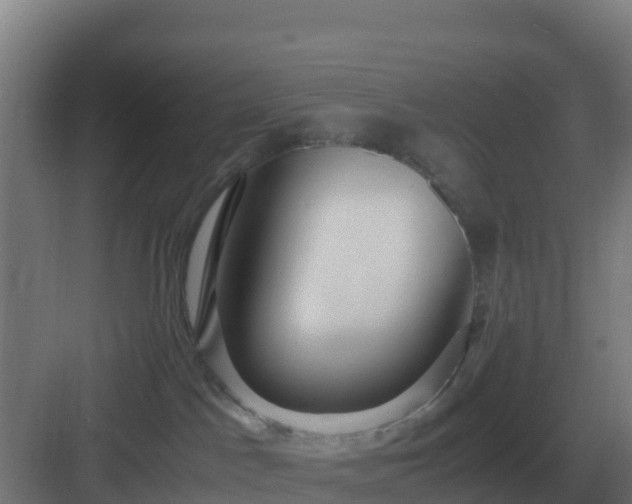 X0000083000045200702081912