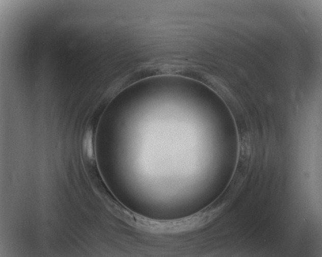 X0000083000046200702081912