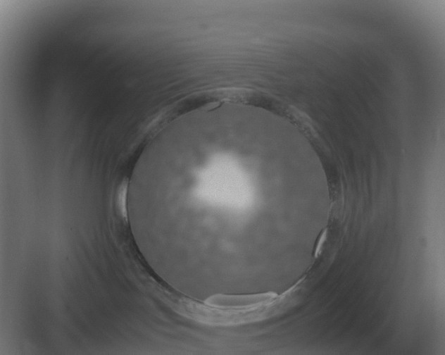 X0000083000047200702081912