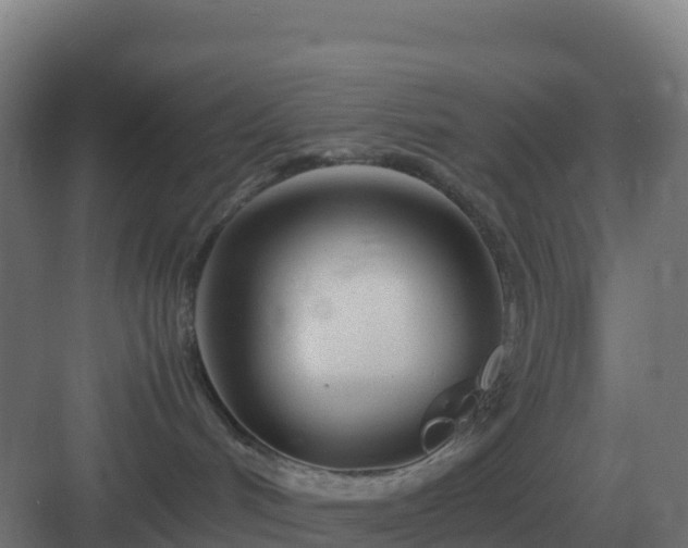 X0000083000048200702081912