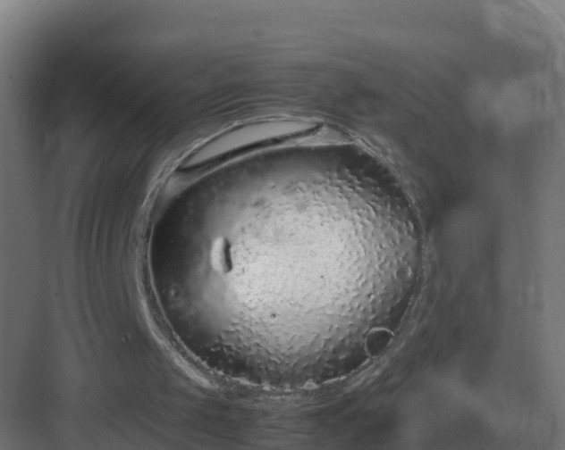 X0000083000049200702081911