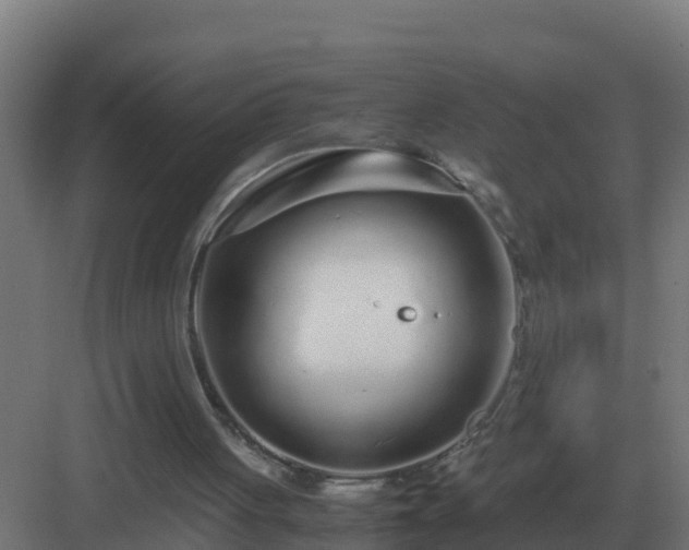 X0000083000051200702081911