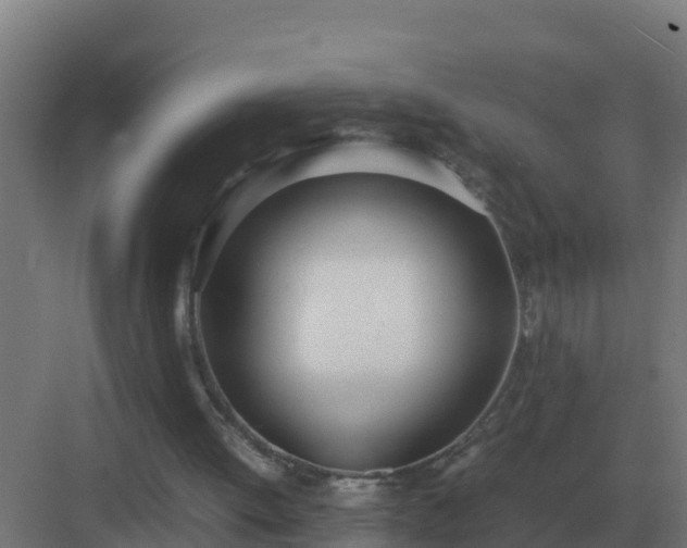 X0000083000052200702081911