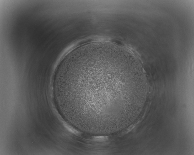 X0000083000053200702081911