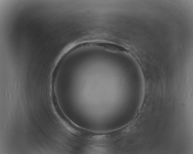 X0000083000054200702081911