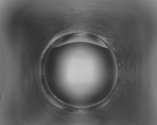 X0000083000056200702081911