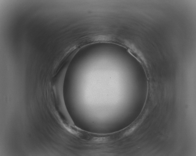 X0000083000057200702081911