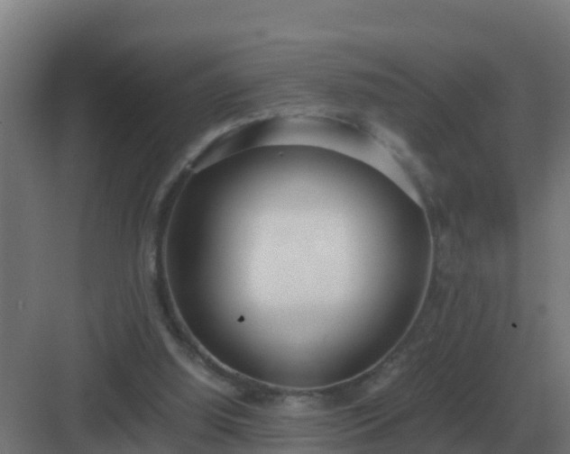 X0000083000060200702081911