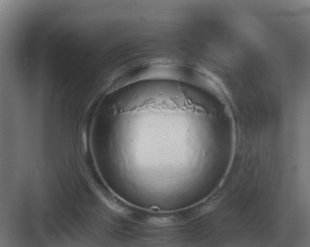 X0000083000061200702081911