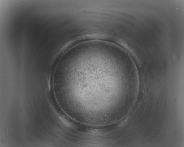 X0000083000062200702081911