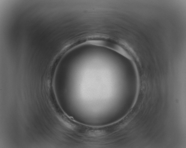 X0000083000063200702081911