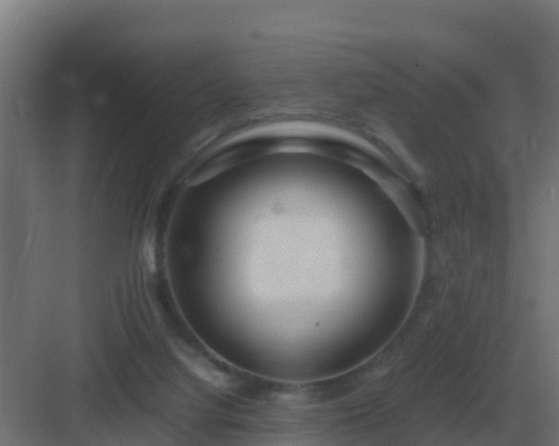 X0000083000068200702081911