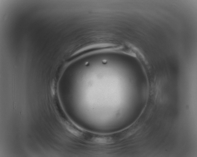 X0000083000069200702081911