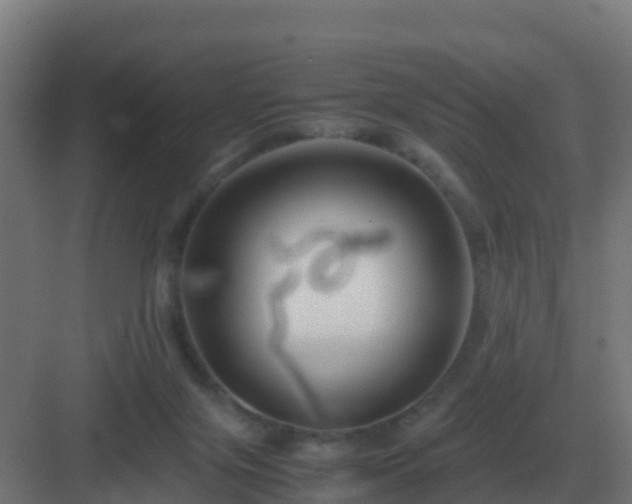 X0000083000071200702081911