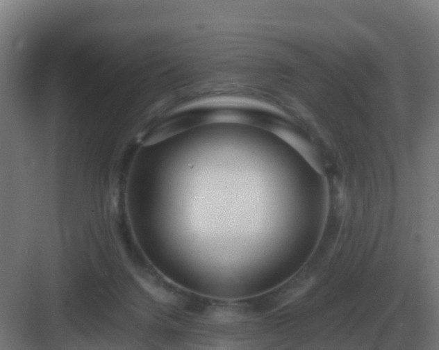 X0000083000072200702081911