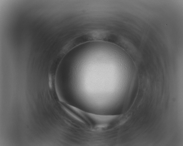 X0000083000075200702081911