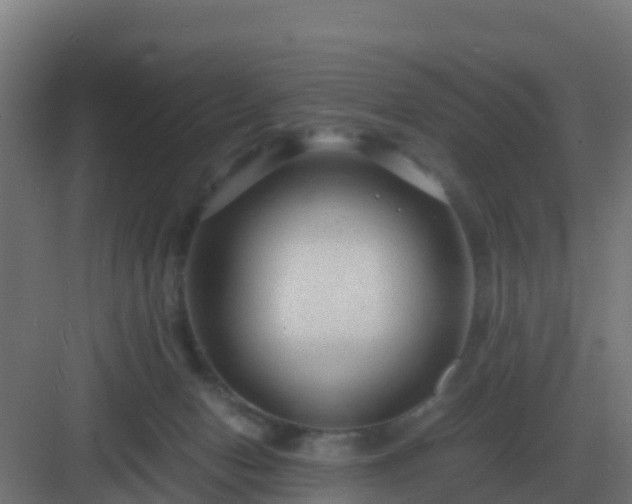 X0000083000078200702081911