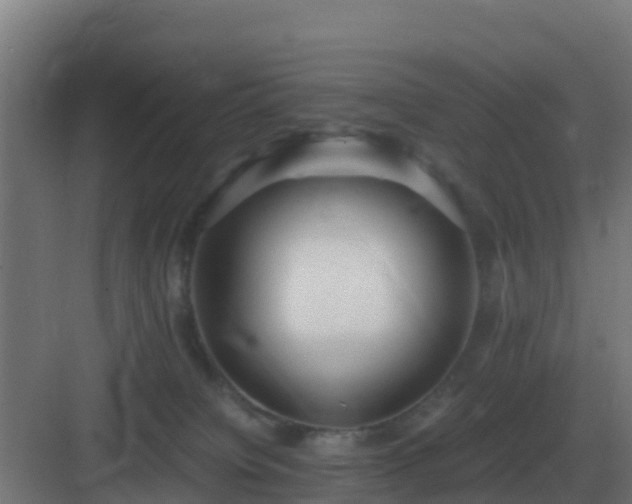 X0000083000084200702081911