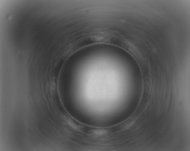 X0000083000085200702081911