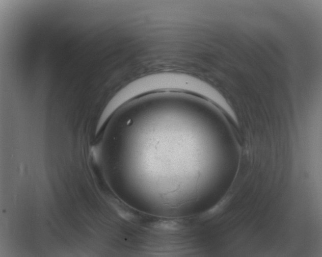 X0000083000086200702081911