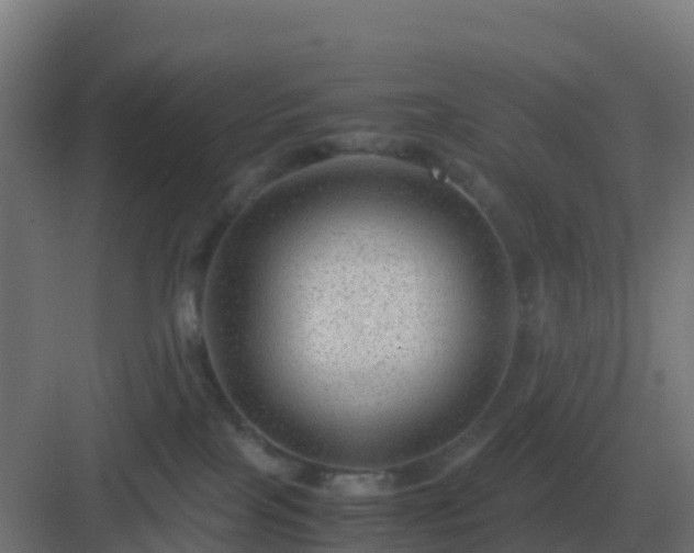 X0000083000089200702081911