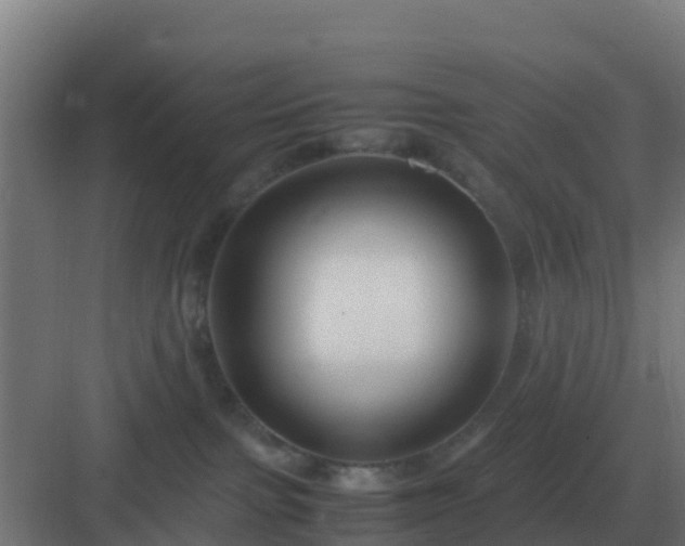 X0000083000091200702081911