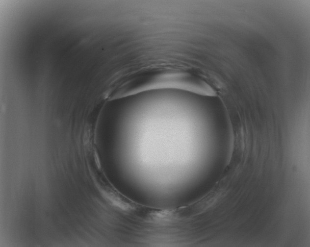 X0000083000092200702081911