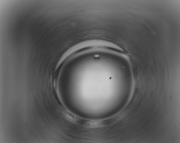 X0000083000093200702081911