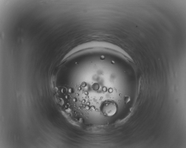 X0000083000094200702081911