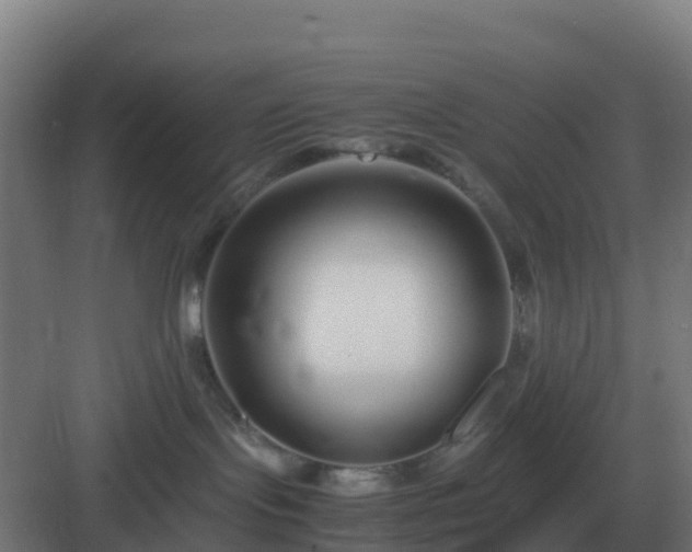 X0000083000095200702081911