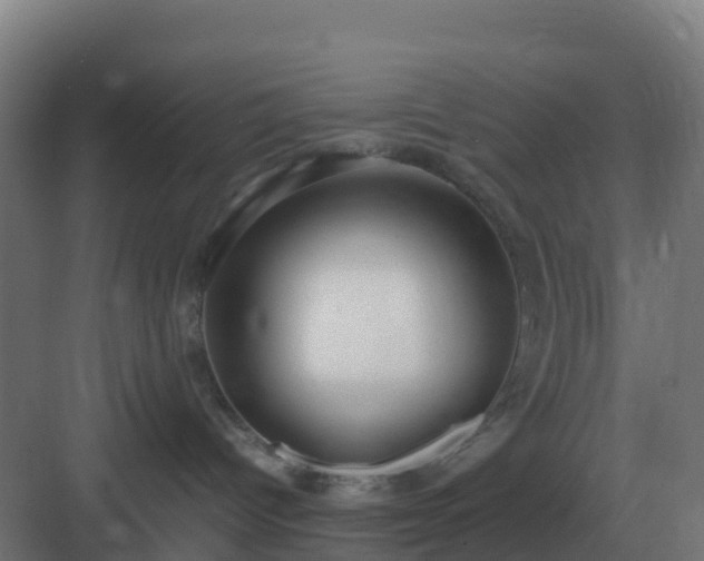 X0000083000096200702081911