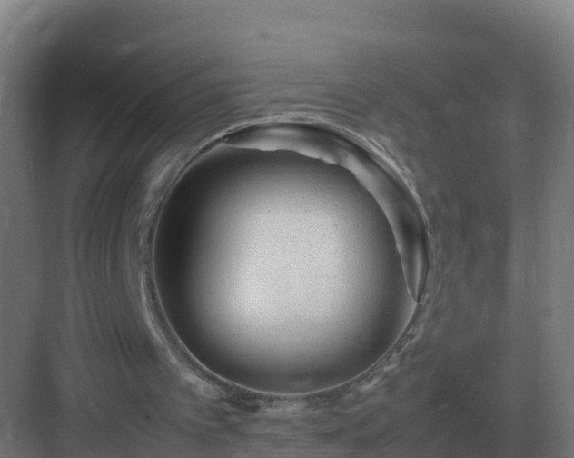 X0000083000097200702081911