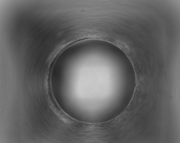 X0000083000098200702081911