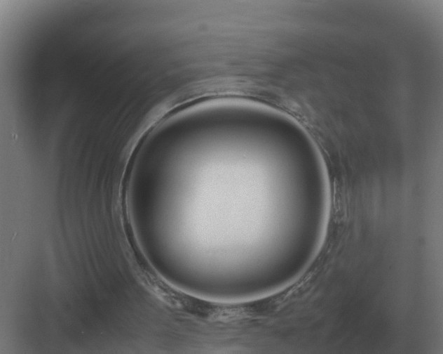 X0000083000099200702081911